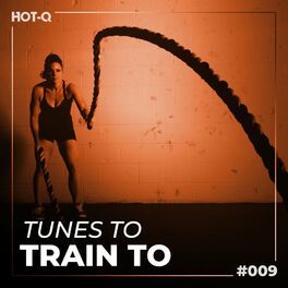 Album cover of Tunes To Train To 009
