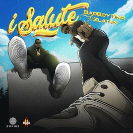 Album cover of I Salute (feat. Zlatan)