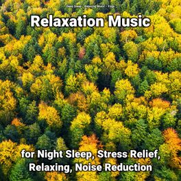 Album cover of Relaxation Music for Night Sleep, Stress Relief, Relaxing, Noise Reduction