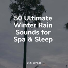 Album cover of 50 Ultimate Winter Rain Sounds for Spa & Sleep