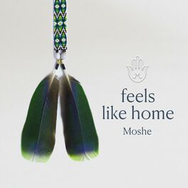 Album cover of Feels Like Home (feat. Nessi Gomes)