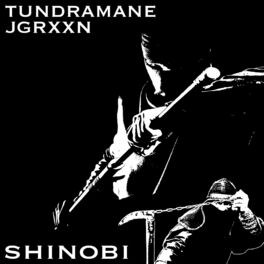 Album cover of SHINOBI