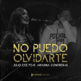 Album cover of No Puedo Olvidarte (feat. Ariadna Contreras)