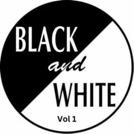 Album cover of Black & White Album, Vol. 1