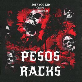 Album cover of PESOS RACKS (feat. sofaygo & tekdidwhat)