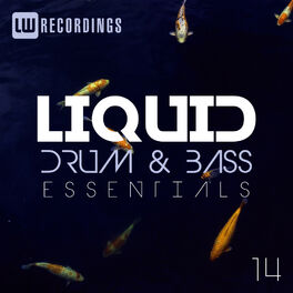 Album cover of Liquid Drum & Bass Essentials, Vol. 14