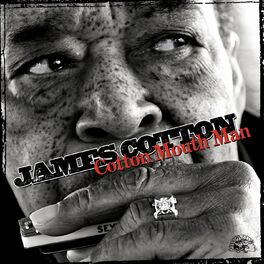 Album cover of Cotton Mouth Man