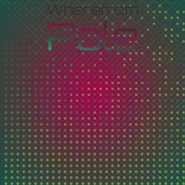 Album cover of Wherefrom Pole