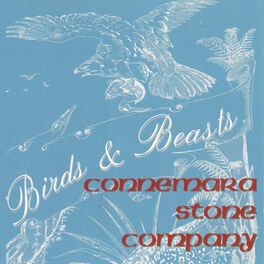 Album cover of Birds & Beasts