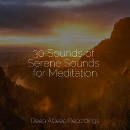 Album cover of 30 Sounds of Serene Sounds for Meditation