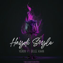 Album cover of Haydi Söyle