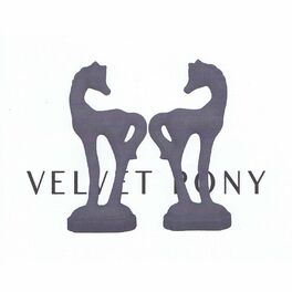 Album cover of Velvet Pony Trax 9
