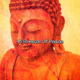 Album cover of 45 Breeze Of Peace