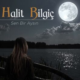 Album picture of Sen Bir Aysın