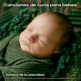 Album cover of Canciones de cuna para bebes: Sonidos de la naturaleza, Música para niños, música de fondo tranquila para el sueño del bebé, canci