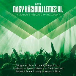 Album picture of Nagy Házibuli Lemez VI. (Slágerek a népszerű tv műsorból)