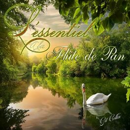 Album cover of L'essentiel a La Flute De Pan