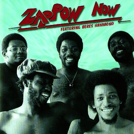 Album cover of Zap Pow