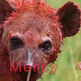 Album cover of Hyena