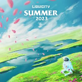 Album cover of Liquicity Summer 2023