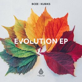 Album cover of The Evolution EP