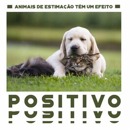 Album cover of Animais de Estimação Têm um Efeito Positivo na Vida de Seus Donos: Cuide de Seu Animal de Estimação
