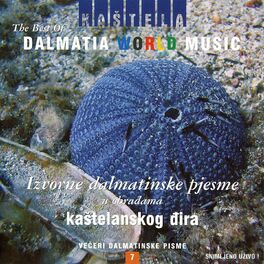 Album cover of The Best Of - Dalmatia World Music (Live)