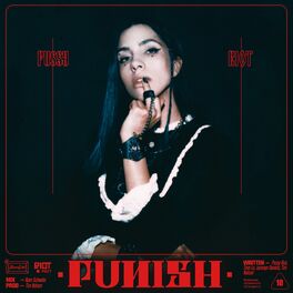 Album cover of PUNISH