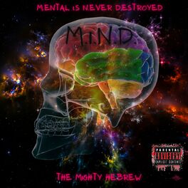 Album cover of M.I.N.D. (M.ENTAL I.S N.EVER D.ESTROYED)