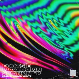 Album cover of Wavedown Section