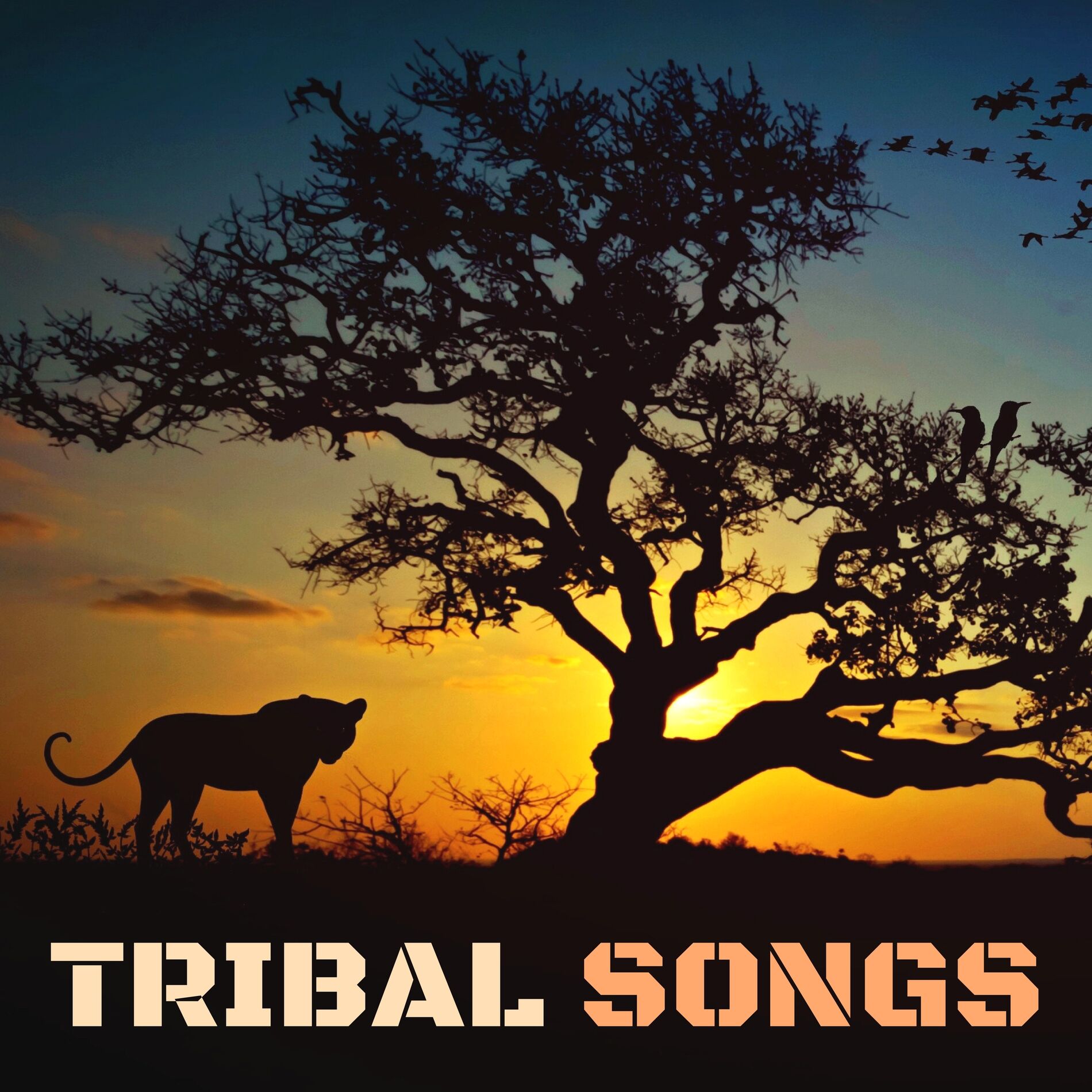 African Dances Academy - Tribal SongsAfrican Dances Academy - Tribal Songs  