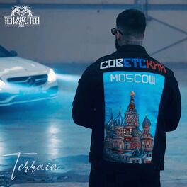 Album cover of Terrain