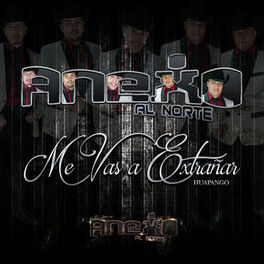 Album cover of Me Vas a Extrañar (Hupango)