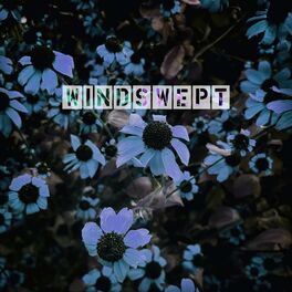 Album cover of Windswept