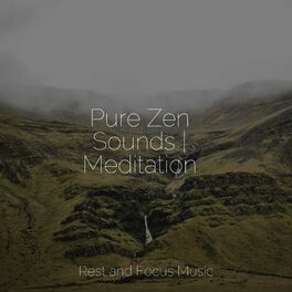 Album cover of Pure Zen Sounds | Meditation