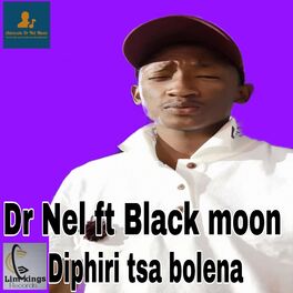 Album cover of Diphiri tsa bolena (feat. Black moon)