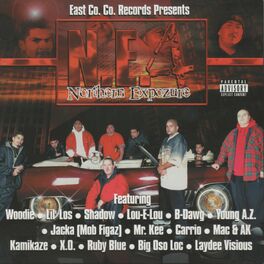 Album cover of Woodie & East Co. Co. Records Presents Northern Expozure 4