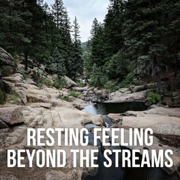 Album cover of Resting Feeling beyond the Streams
