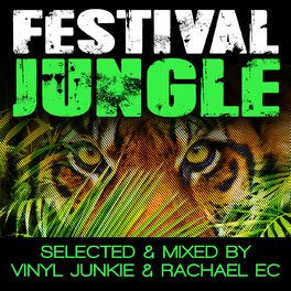Album cover of Festival Jungle
