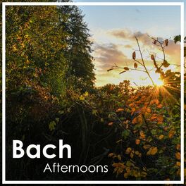 Album cover of Bach Afternoons