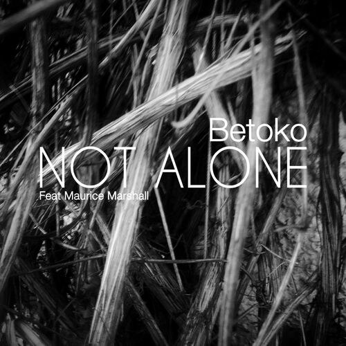 Roger Sanchez Remixes Betoko's 'Raining Again