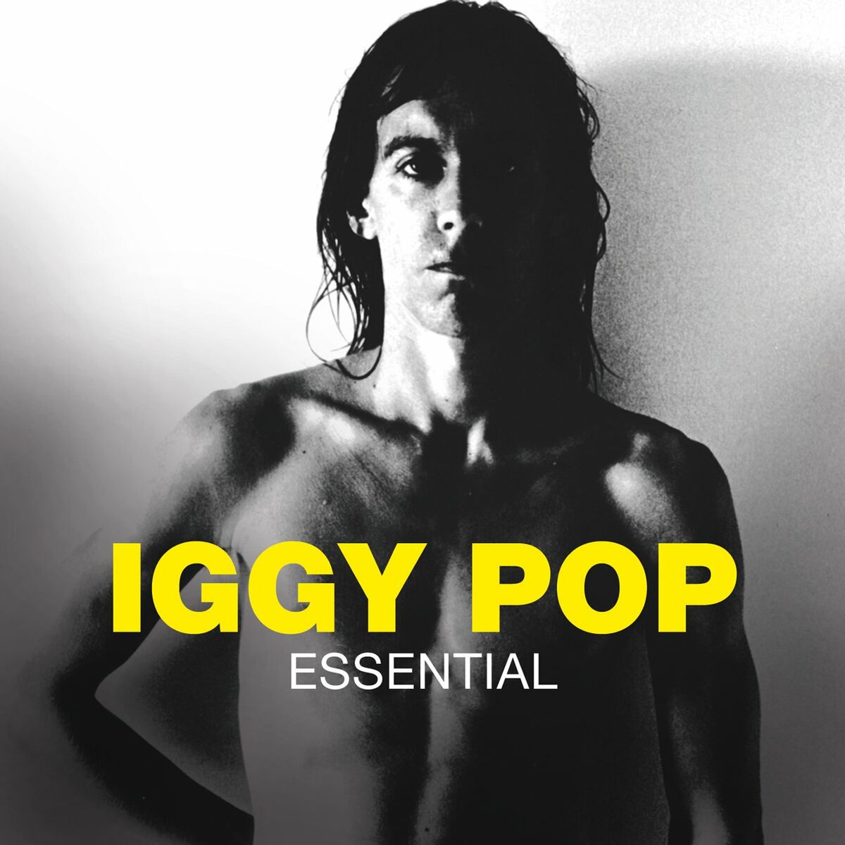 Iggy Pop: albums, songs, playlists | Listen on Deezer