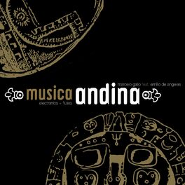 Album cover of Musica Andina