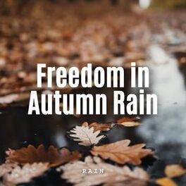 Album cover of Rain: Freedom in Autumn Rain