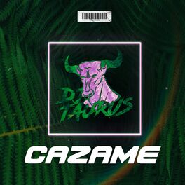 Album cover of Cazame (Remix)