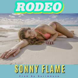 Album cover of Rodeo (Produced by Burimkosa)