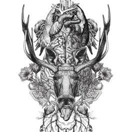 Album cover of Re:STUPiD