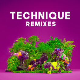 Album cover of Technique (Remixes)