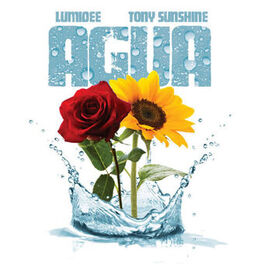 Album cover of Agua