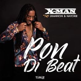 Album picture of Pon Di Beat